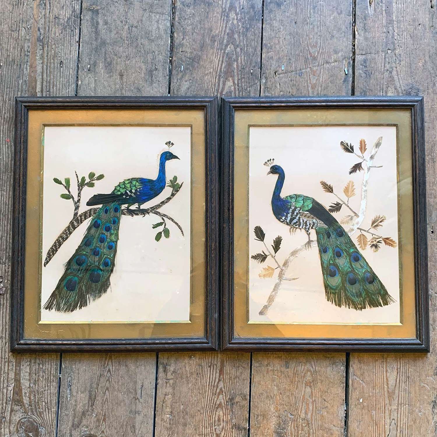 Two framed Georgian Silk works depicting Peacocks